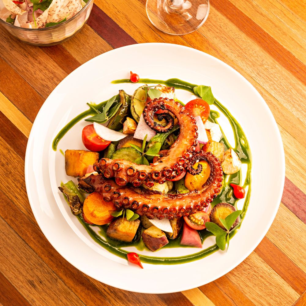 Guía definitiva para elegir vajillas de calidad