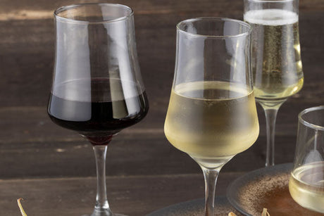 ¿Cómo tomar vino en copa?