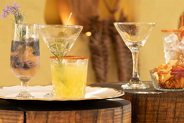 Tragos para bartenders 2023