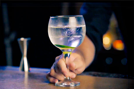 El arte de degustar con copas para ginebra