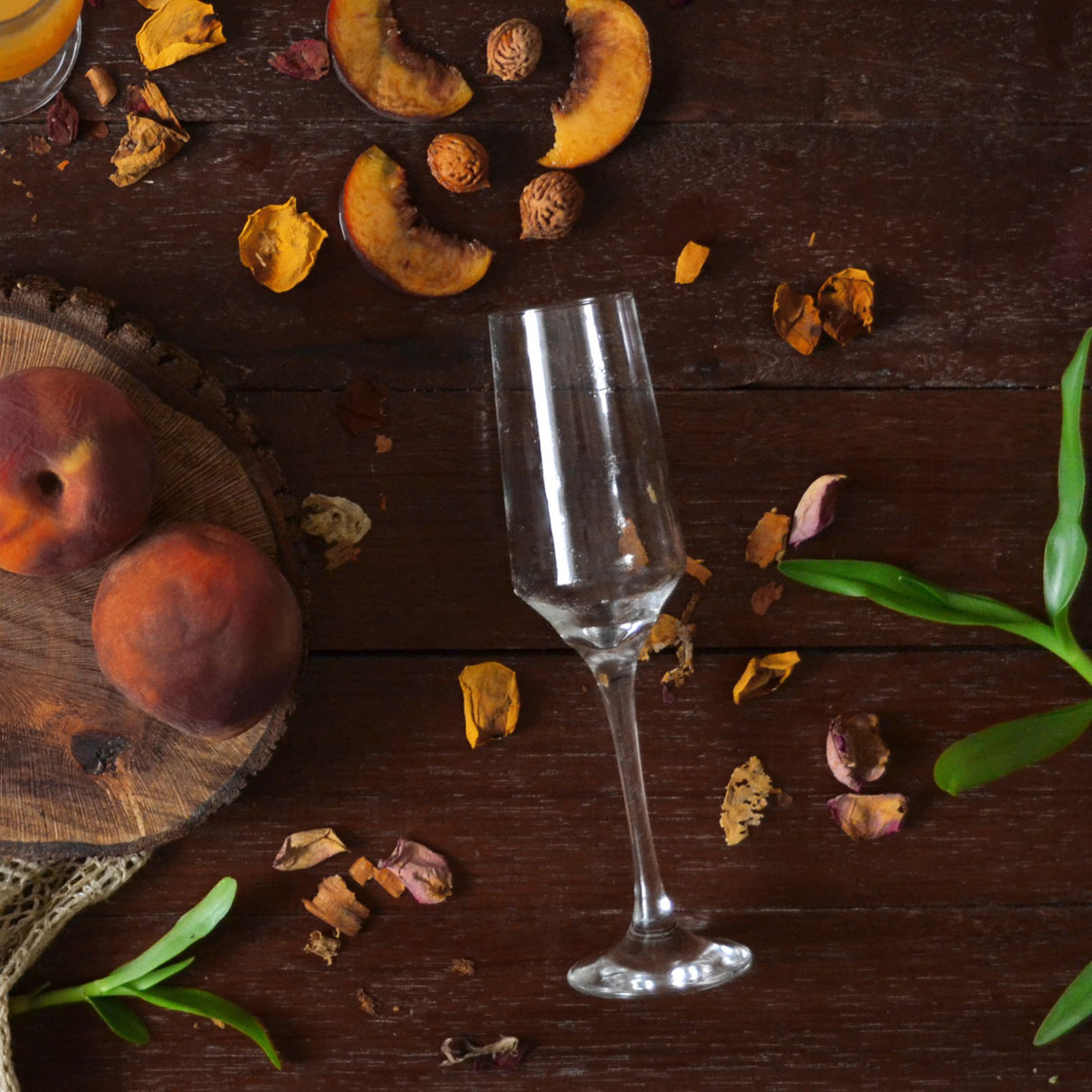 Copa Brunello para champaña de la colección Nadir Experience