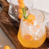 Vaso Rotterdam