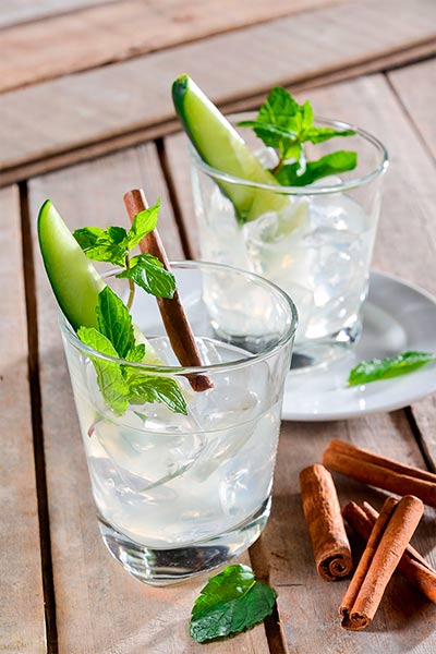 Recetas de gin tonic: las copas más deseadas y cómo prepararlas